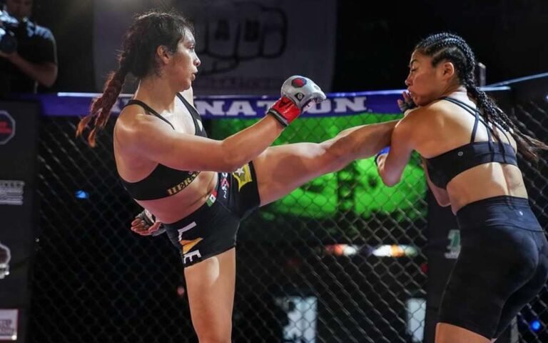 Challenges Faced by Cage Fighters in Their Careers