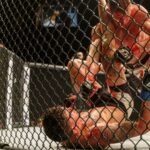 The Evolution Of Cage Fighting In Sports