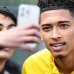 The Influence of Social Media on Professional Athletes’ Careers