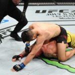 The Legalities of Cage Fighting: What You Need to Know